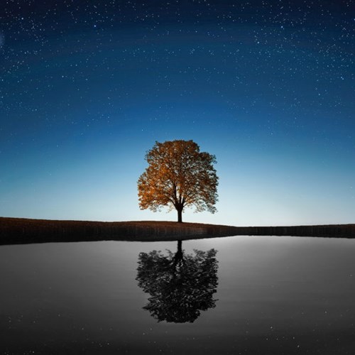 treadright foundation