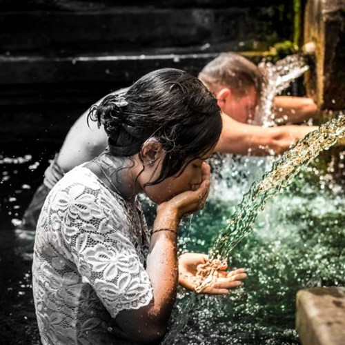 treadright foundation