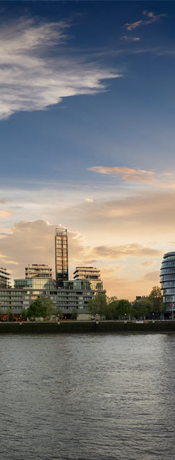 afternoon tours of london